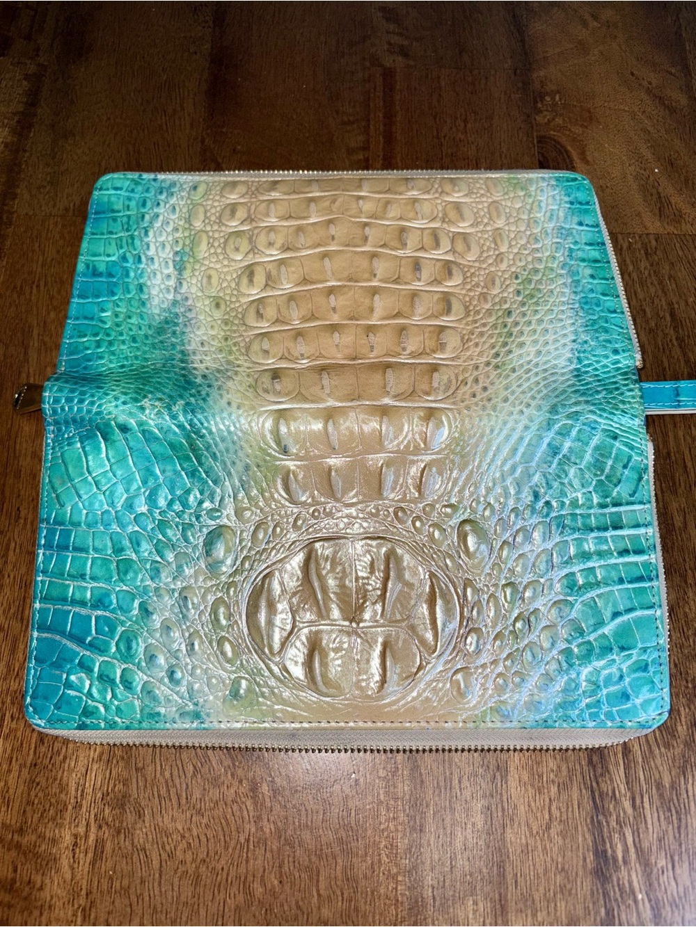 Brahmin GUC Skyler - Ocean Ombré - Travel Wallet/Clutch - FULL Eye - HTF, Rare - Picture 3 of 15